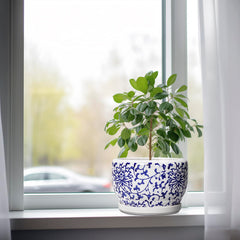 SQOWL ceramic pot with succulent inside