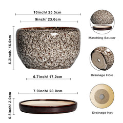 SQOWL planter displayed on a desk with indoor plants