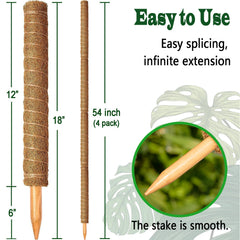 Stacked CHIAFFI moss poles in a potted Monstera plant