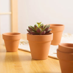 Stacked Fcacti mini pots perfect for indoor plants