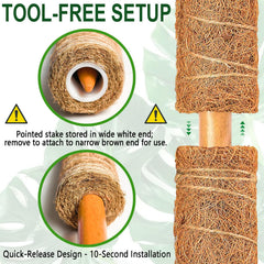 Stacked Soupiar Moss Poles for climbing plants