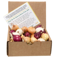 Stargazer Perennials Mixed Onion Assortment 8 oz front view