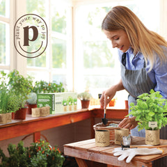 Step-by-step guide included in the herb garden kit