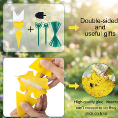Stingmon Yellow Sticky Fruit Fly Trap in use near indoor plants