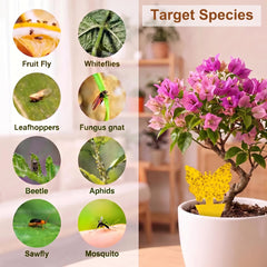 Stingmon Yellow Sticky Gnat Trap inserted into potted plant soil