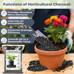 Sukh Horticultural Charcoal 1Qt close-up of charcoal granules