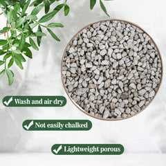 Sukh Horticultural Pumice 900g in a potted plant arrangement