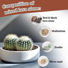 Sukh lava pebbles in a succulent potting mix