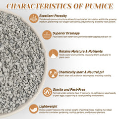 Sumloty Pumice for plants used in a potted succulent