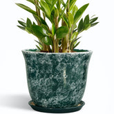 SUNPOTFOR 10 Inch Ceramic Plant Pot in Gemstone Green with Saucer