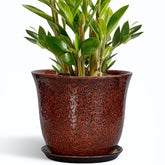 SUNPOTFOR 10 Inch Ceramic Plant Pot in Leopard Glaze Red front view