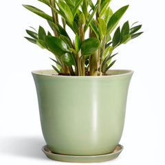SUNPOTFOR 10 Inch green ceramic planter front view with drainage net