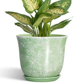 SUNPOTFOR 5.6 Inch Ceramic Plant Pot front view in Gemstone Apple Green