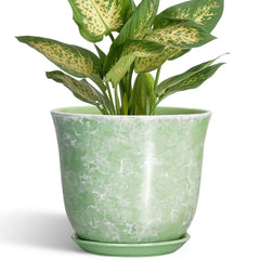 SUNPOTFOR 5.6 Inch Ceramic Plant Pot front view in Gemstone Apple Green