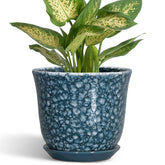 SUNPOTFOR 5.6 Inch Ceramic Pot in Scale Blue-grey with Saucer