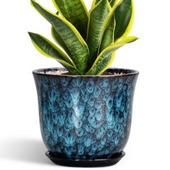 SUNPOTFOR 8 Inch Blue Ceramic Plant Pot front view