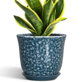 SUNPOTFOR 8 Inch Ceramic Plant Pot front view in blue-grey