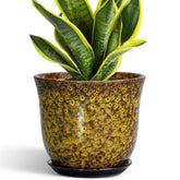SUNPOTFOR 8 Inch Ceramic Planter in Yellow with drainage net