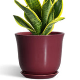 SUNPOTFOR 8 Inch Ceramic Planter Red with Drainage Net