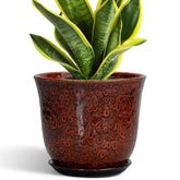 SUNPOTFOR 8 Inch Ceramic Planter red with saucer