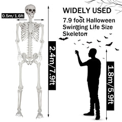 SUNREEK Halloween skeleton with fully posable joints