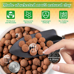 Sunwinx Leca Clay Pebbles in a decorative plant pot
