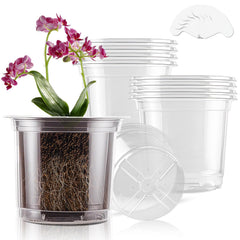 SupKing 6 Inch Clear Nursery Pot front view with drainage holes