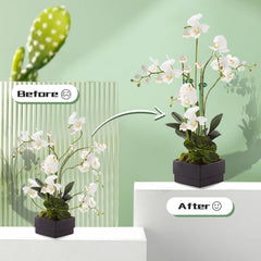 SupKing plant support stakes inserted into potted plants