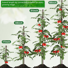 SupKing plant support stakes used in a garden with tomatoes
