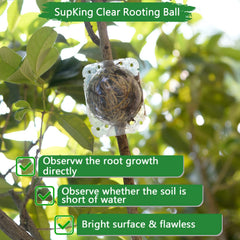 SupKing small rooting balls for plant cutting with dimensions