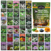 SURVIVAL GARDEN SEEDS 36 Variety Medicinal Herb Seeds pack front view