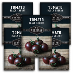 SURVIVAL GARDEN SEEDS Black Cherry Tomato Seeds pack front view