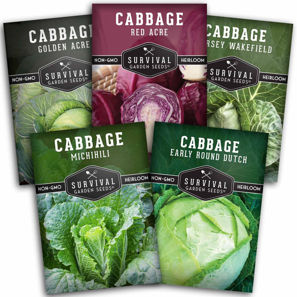 SURVIVAL GARDEN SEEDS Cabbage Seeds 5 Variety Pack front view