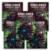 SURVIVAL GARDEN SEEDS Chocolate Cherry Sunflower Seeds packet front view