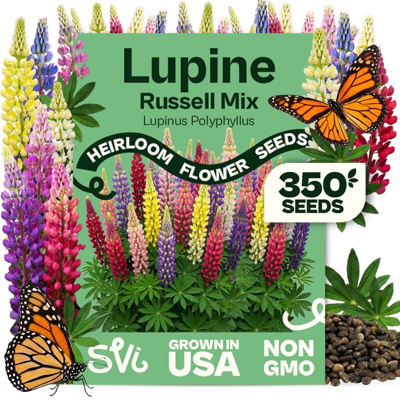 SVI 350 Mix Russell Lupine Seeds packet front view