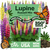 SVI 350 Mix Russell Lupine Seeds packet front view