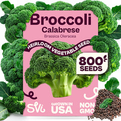 SVI Calabrese Broccoli Seeds 9g packet front view