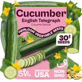 SVI English Cucumber Seeds pack front view, 5g