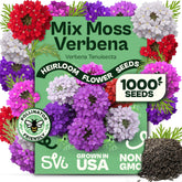 SVI Mix Moss Verbena Seeds packet front view