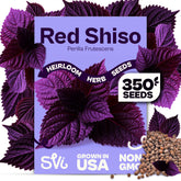 SVI Red Shiso Seeds packet front view