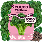 SVI Waltham 29 Broccoli Seeds pack front view