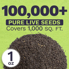SWEET YARDS Black Eyed Susan seeds with planting instructions