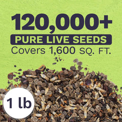 SWEET YARDS Bulk Wildflower Seeds bag back view with seed details