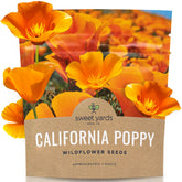 SWEET YARDS California Orange Poppy seeds 1 ounce packet front view