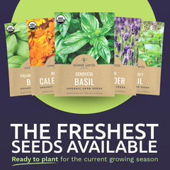 SWEET YARDS herb seeds variety pack with vibrant herbs in a garden setting