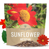 SWEET YARDS Mexican Sunflower Seeds packet front view