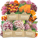 SWEET YARDS Milkweed Seed Variety Pack featuring five individual seed packets