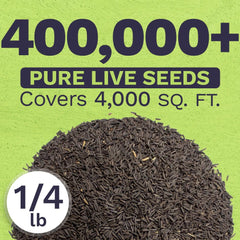 SWEET YARDS seed packet with Black Eyed Susan seeds