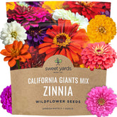 SWEET YARDS Zinnia Seeds California Giants Mix 1-ounce packet front view