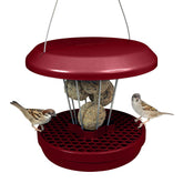 SWISSINNO Bird Feeder front view in burgundy
